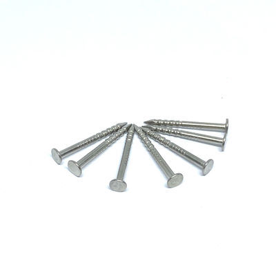 Ногти плоской головки нержавеющей стали хвостовика 316 кольца 1.6X19MM